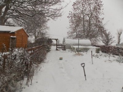 snow2023.jpg