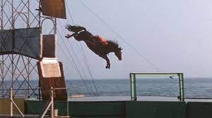 1959 Atlantic City ~ Showtime on the Steel Pier & Horse Diving - YouTube