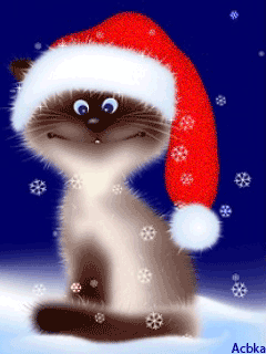 fd748fd01656c8639e76c339195f4855[1].gif