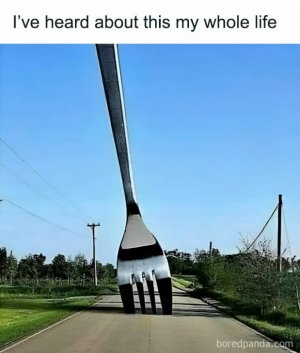 random-things-weird-places9-6544e52ebb62a__700.jpg