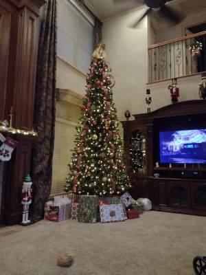 IMG_20231223_154631538.jpg