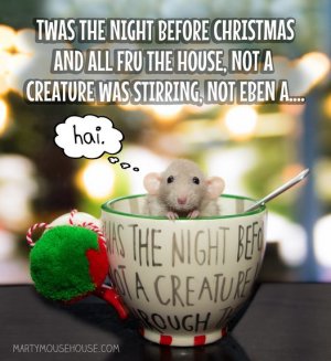 MMH MOUSE.jpg