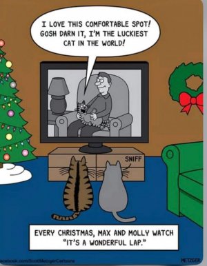 FB_IMG_1703367960542.jpg