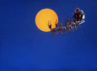 santa claus 2.gif
