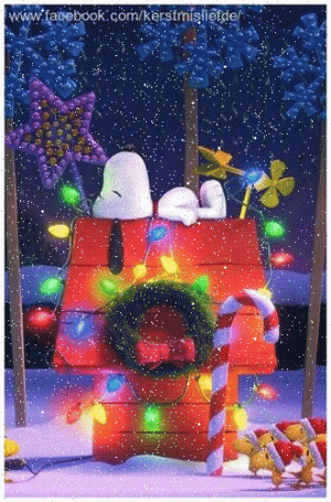 3ef31528a446b8212195b05b965df38d[1].gif