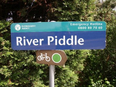 river piddle.jpg river piddle.jpg