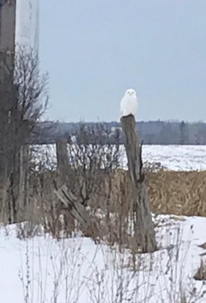 IMG_0684.jpeg
