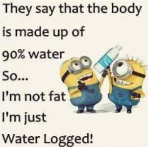 waterloggedjpg.jpg