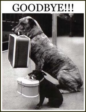 goodbye dogs.jpg