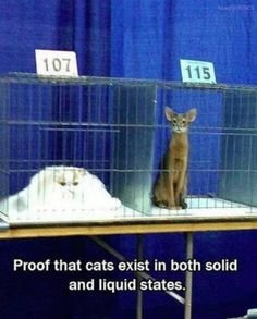 Solid & Liquid.jpg