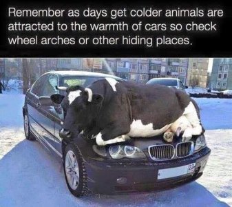 IMG_5962.jpeg