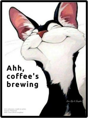 424e5eb6c528a8722eaf04d45ffa5519[1].jpg