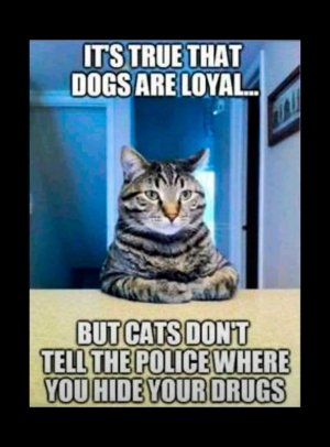FB_IMG_1703471895383.jpg