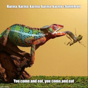 karma.JPG
