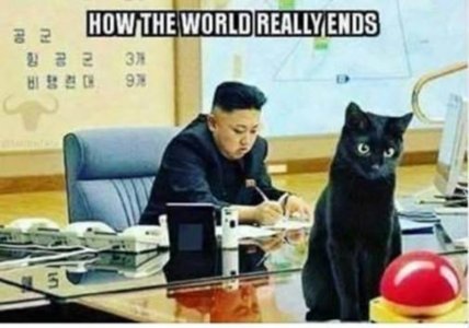 cat world joke.jpg