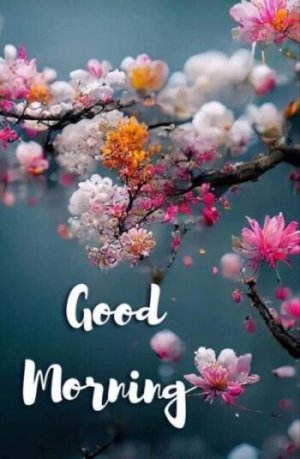 cute-good-morning-image-e1681094321624.jpg
