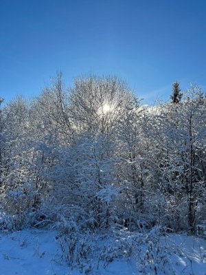 IMG_4947.jpeg