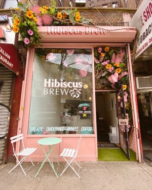 Hibiscus-Brew-1.jpg