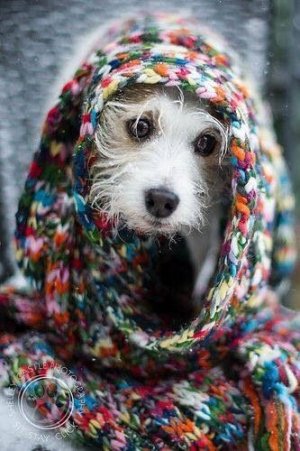 87ff84c66dd5db9a79811e2e3197c775[1].jpg