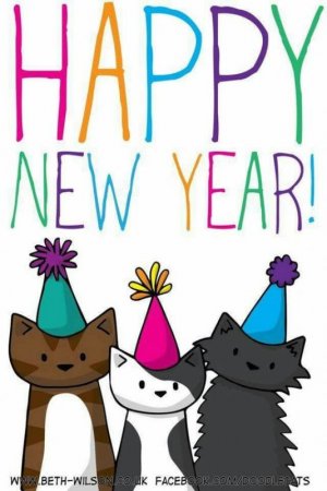 c9271b407a76e33e264fc3887cafc3ed[1].jpg