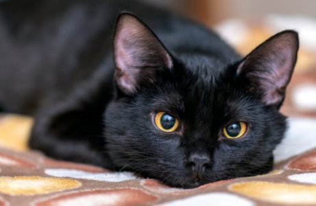 2023-12-29 18.57.28 .jpg