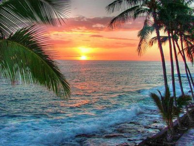 paradise #1.jpg