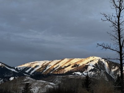 IMG_3140.jpeg