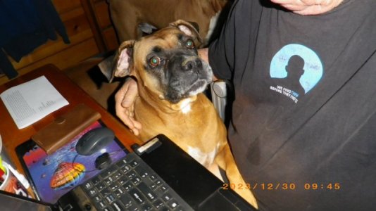 IMGP0890.JPG
