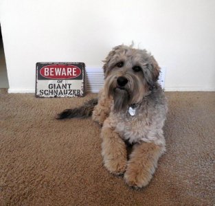 sign.jpg sign.jpg