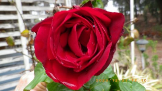 IMGP0900.JPG