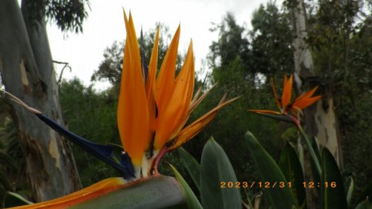 IMGP0912.JPG