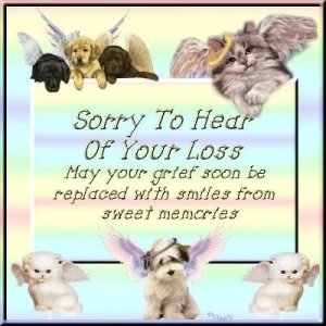 pet-loss-grief-prayer-request.jpg