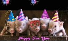 received_735156685175669.gif