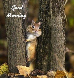 e49b6e56fd8b6a9888d9779471bb28f5[1].jpg