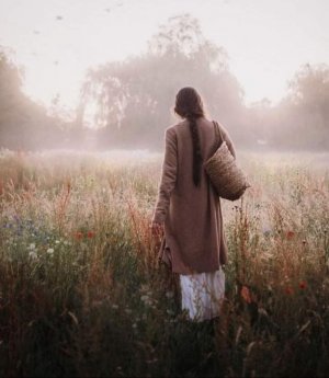 hippie field.jpg hippie field.jpg