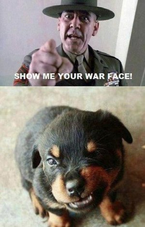 general2.jpg