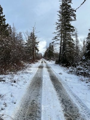 IMG_4975.jpeg
