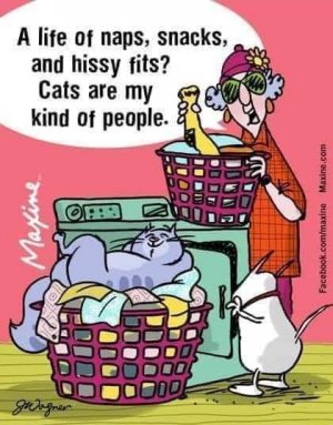 FB_IMG_1704171137791.jpg