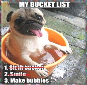 bucket list.jpg