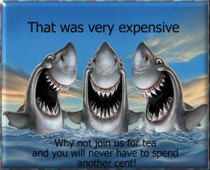 Shark Funny.jpg