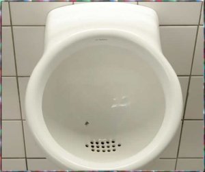 toiletbowl.jpg