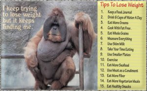 weight loss.jpg weight loss.jpg