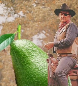 john-wayne-on-avocado.jpg john-wayne-on-avocado.jpg
