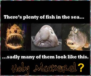 Sea Fish.jpg