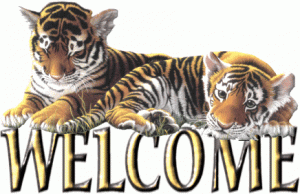picgifs-welcome-746696.gif