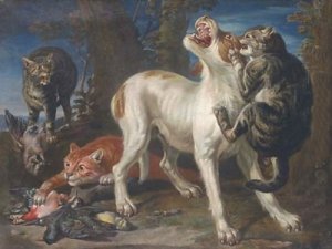 Cats-Attacking-A-Dog-In-A-Landscape.jpg