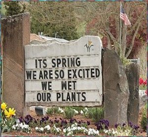 wet our plants.jpg