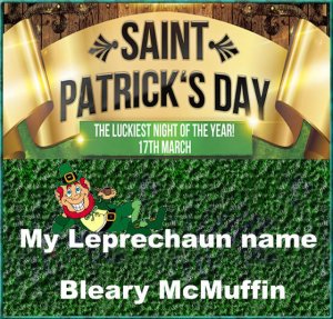 Leprechaun Name.jpg