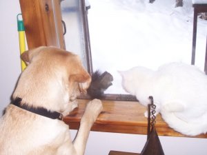 100_2704.JPG