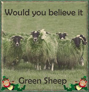 Green Sheep.jpg